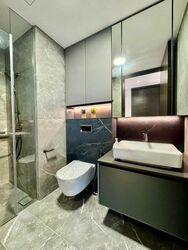 Irwell Hill Residences (D9), Apartment #597096031